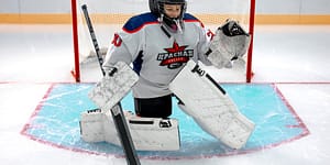 goaltender holding a hockey stick
